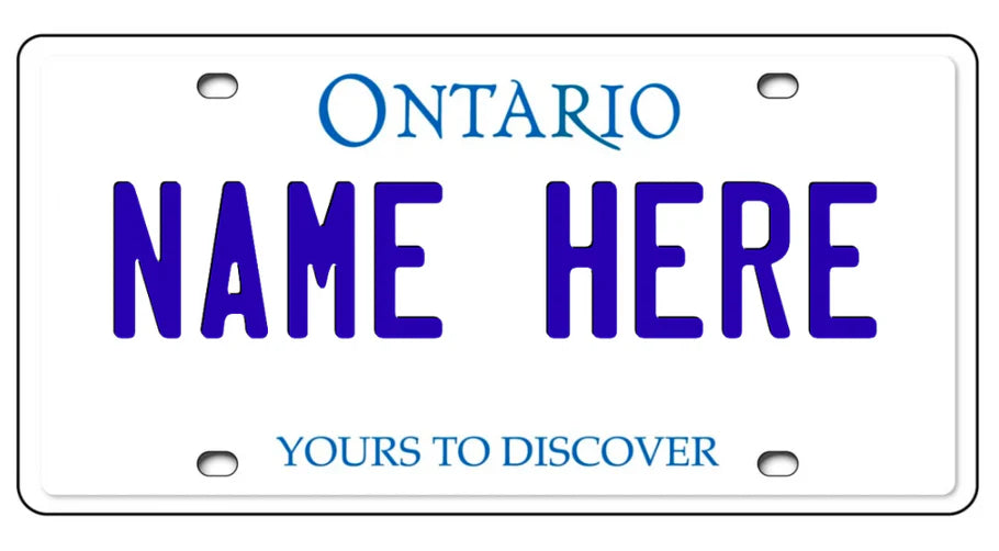 Personalized Custom License Plate Toronto Toys