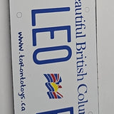 Personalized Custom License Plate for Kids Car