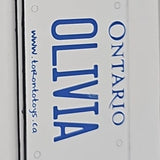 Personalized Custom License Plate for Kids Car
