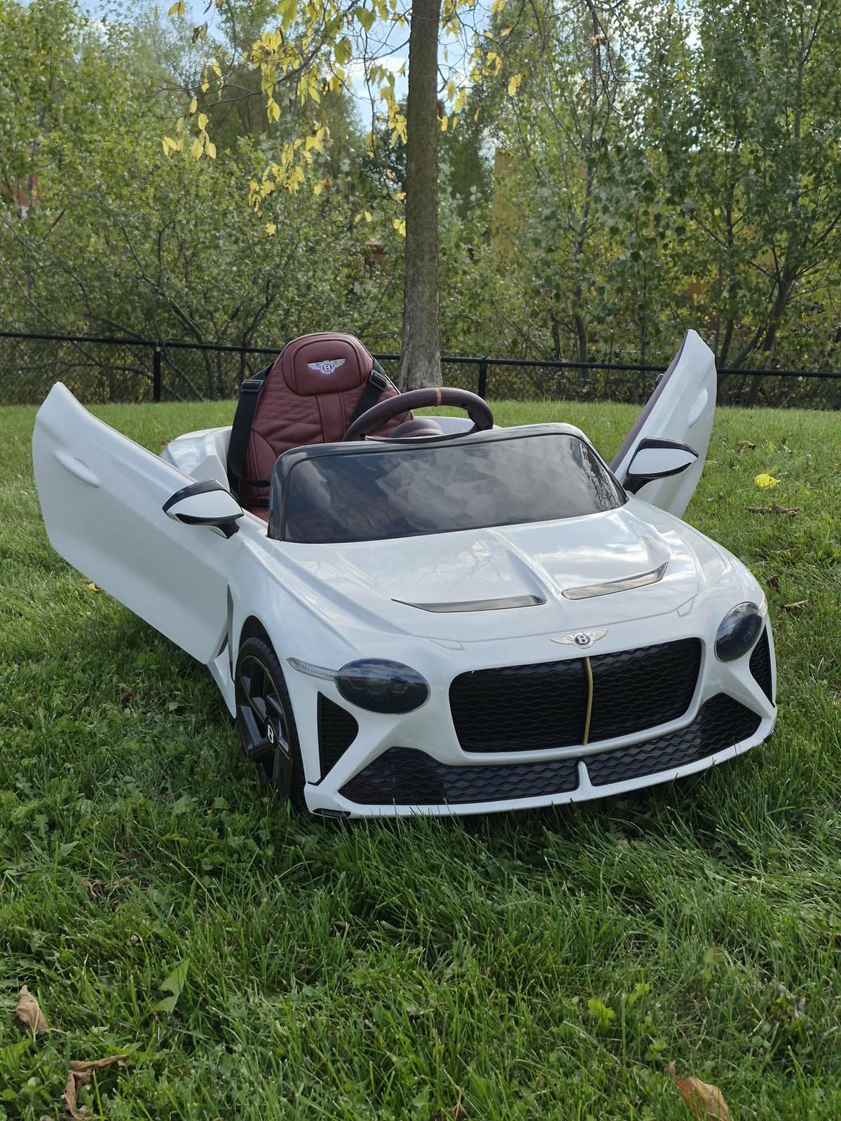 Curious about the latest ride-on car trends for kids in 2026? Discover what's new at Toronto Toys—featuring upgraded batteries, smart tech integration, and realistic designs that make playtime both thrilling and safe for families in the GTA.