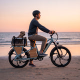 EMMO Ehaul Pro Cargo Electric Bike Adults - Step Thru - 750W - Rear Cargo Seat - UL Certified