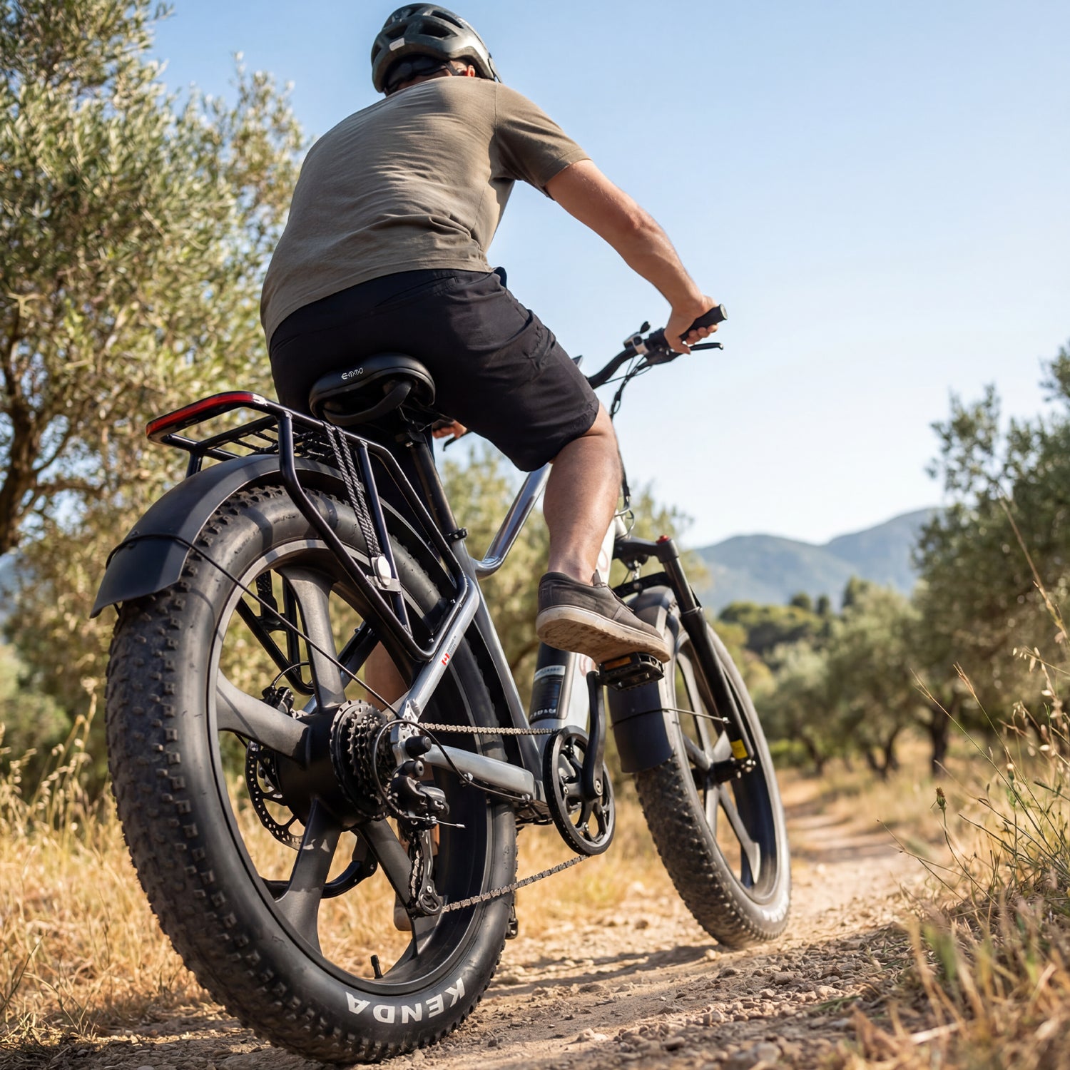 EMMO Gron Pro Fat Tire Electric Bike Adults - 750W - Torque Sensor - All Terrain - UL Certified - Up to 110km
