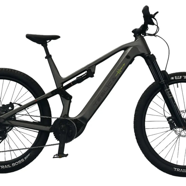Triumph Mountain eBike (E1H)