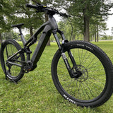 Triumph Mountain eBike (E1H)