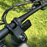 Triumph Mountain eBike (E1H)