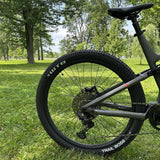 Triumph Mountain eBike (E1H)
