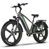 EMMO Ikong Pro Step Over Fat Tire Adults Electric Bike - 750W UL Certified