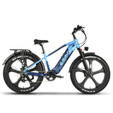 EMMO Ikong Pro Step Over Fat Tire Adults Electric Bike - 750W UL Certified