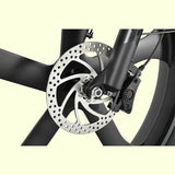 EMMO Vegar Pro Step Thru Fat Tire Adults eBike - 750W UL Certified