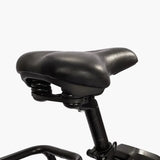 Ambition Fat Tire Elite Step-Thru eBike (F27e)