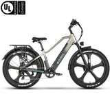 EMMO Gron Pro Fat Tire Electric Bike Adults - 750W - Torque Sensor - All Terrain - UL Certified - Up to 110km