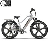 EMMO Gron Pro Fat Tire Electric Bike Adults - 750W - Torque Sensor - All Terrain - UL Certified - Up to 110km