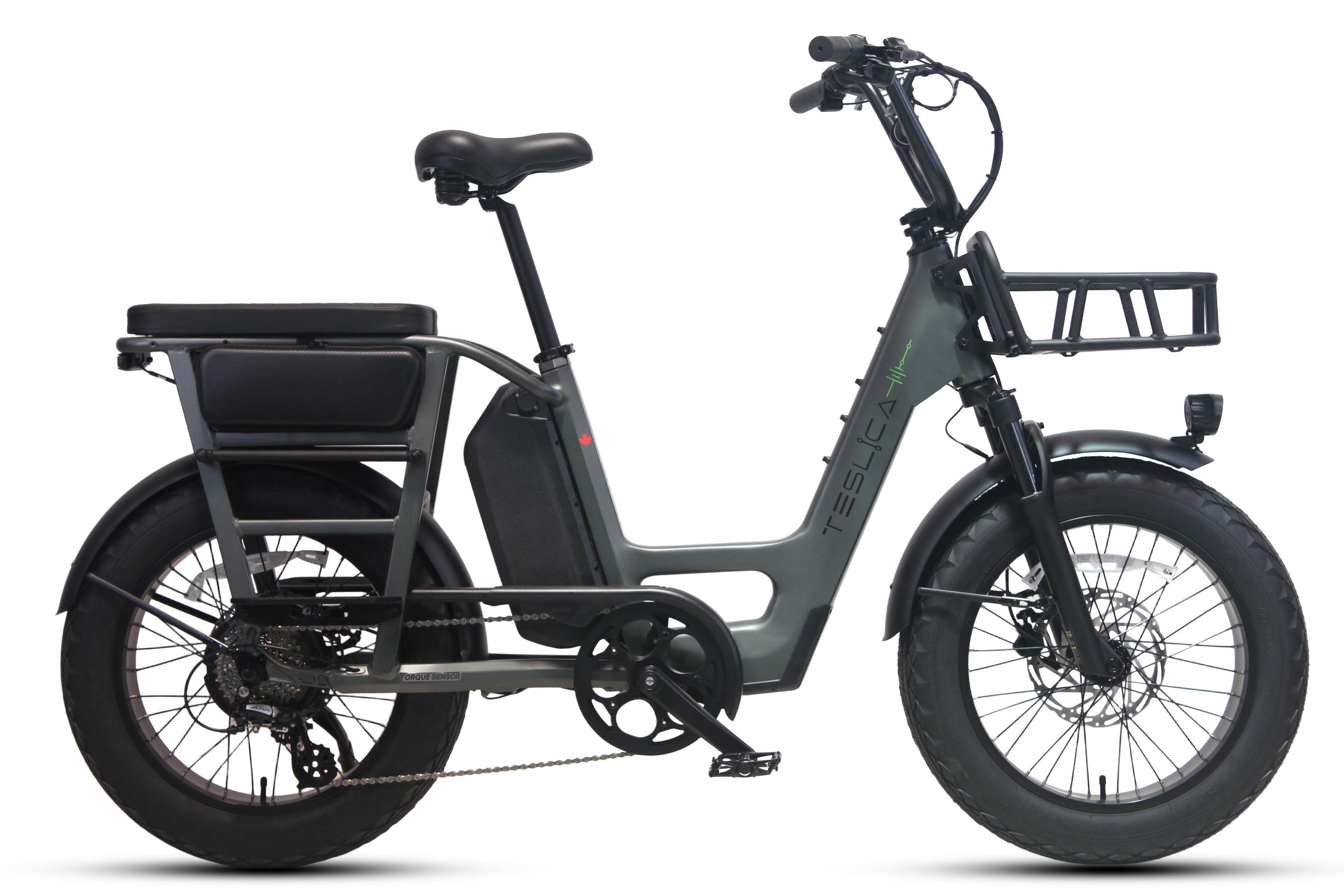 Care-Go Cargo eBike (CG2) - SKU: 210000001548