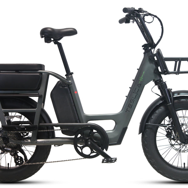 Care-Go Cargo eBike (CG2)