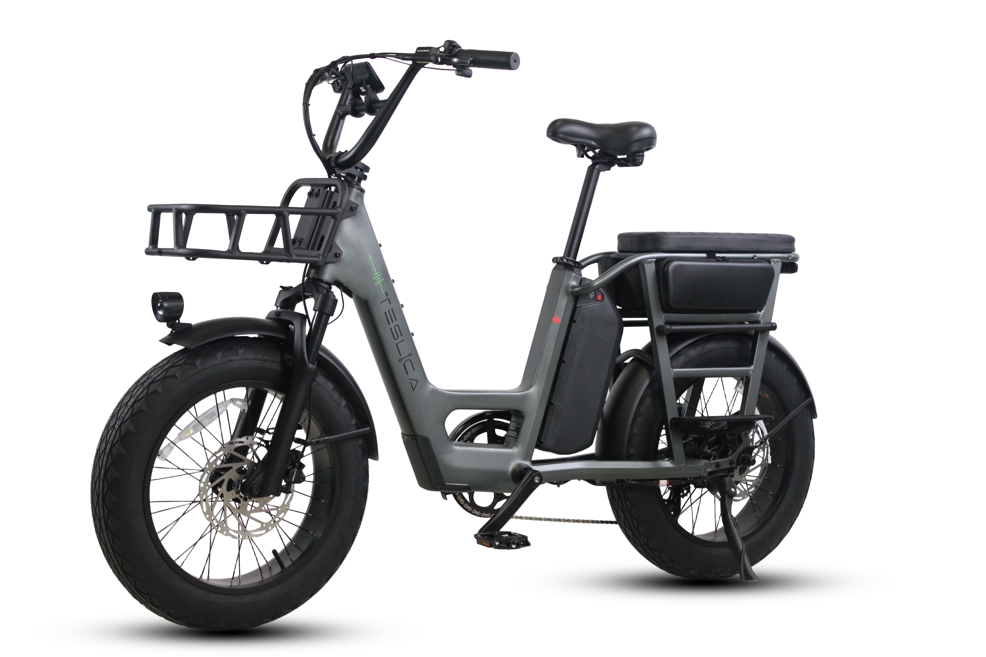 Care-Go Cargo eBike (CG2) - SKU: 210000001548