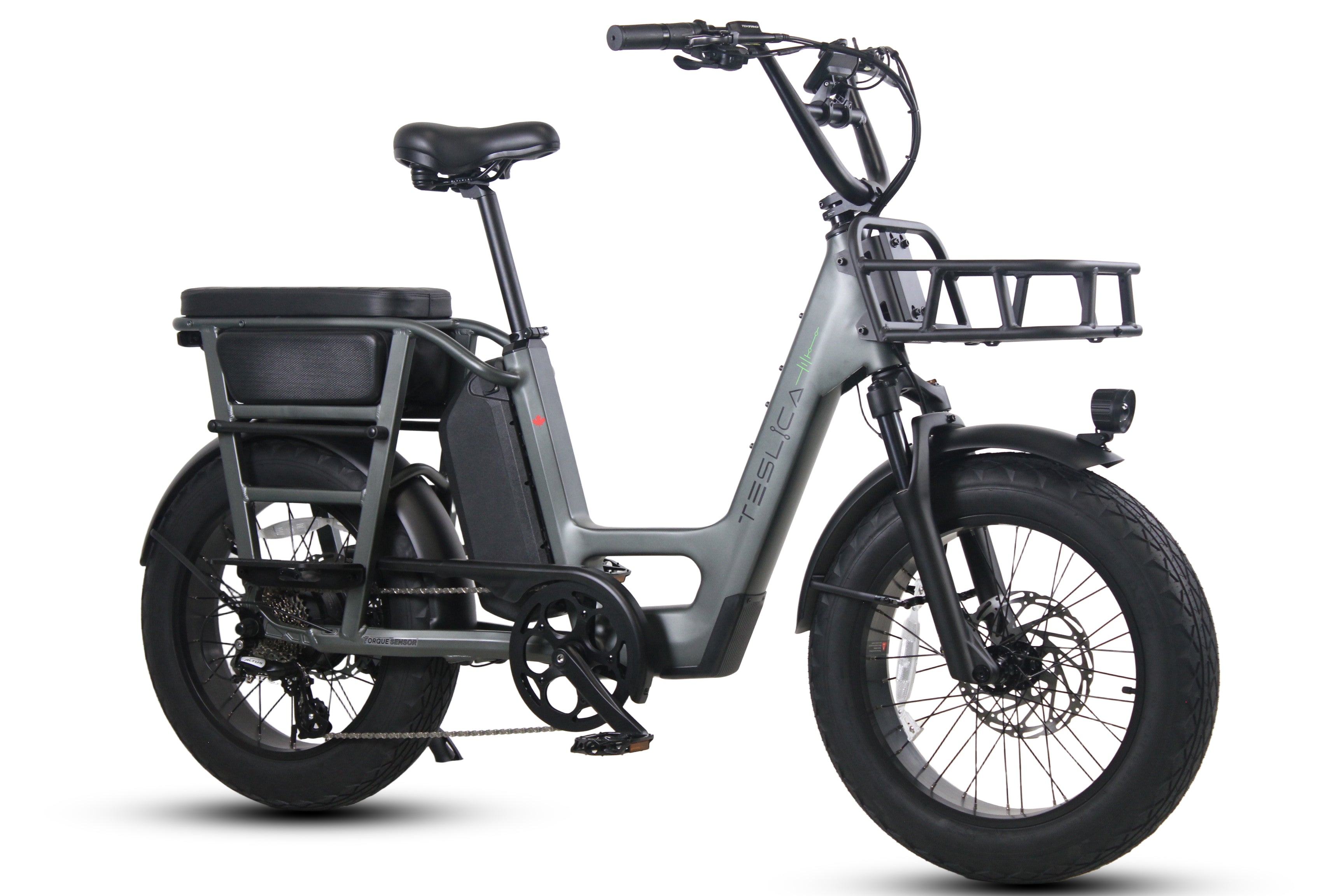 Care-Go Cargo eBike (CG2) - SKU: 210000001548