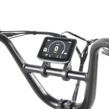 Care-Go Cargo eBike (CG2)