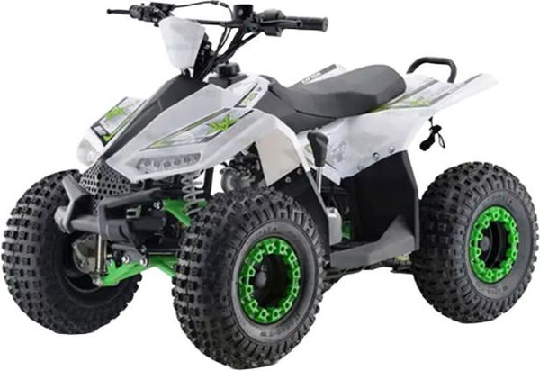 SHOK Impulse 60V ATV  - Goes Over 30KM/H