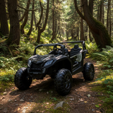 2026 24V DUNE BUGGY DELUXE 2 SEATER KIDS RIDE ON CAR WITH REMOTE CONTROL