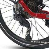 Freedom City Elite eBike (C3H)