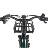 Freedom City Base eBike (C3H)