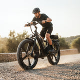 EMMO E-Wild Pro Electric Bike Fat Tire 750W 48V - Hydraulic Brakes, All-Terrain Performance