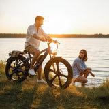 EMMO E-Wild Pro Electric Bike Fat Tire 750W 48V - Hydraulic Brakes, All-Terrain Performance
