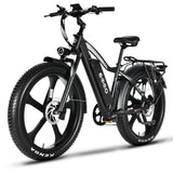 EMMO E-Wild Pro Electric Bike Fat Tire 750W 48V - Hydraulic Brakes, All-Terrain Performance
