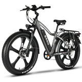 EMMO E-Wild Pro Electric Bike Fat Tire 750W 48V - Hydraulic Brakes, All-Terrain Performance
