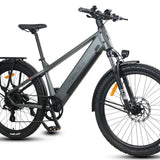 Purity Hybrid Elite eBike (H3H)