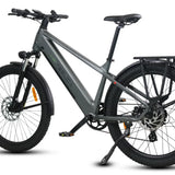 Purity Hybrid Elite eBike (H3H)