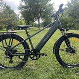 Purity Hybrid Elite eBike (H3H)