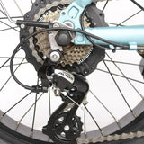 Inspire Mini eBike (N2H)