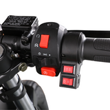 EMMO NOMADO Cafe Racer Electric Motorcycle - Removable SLA Battery - 40 - QS Torque Motor