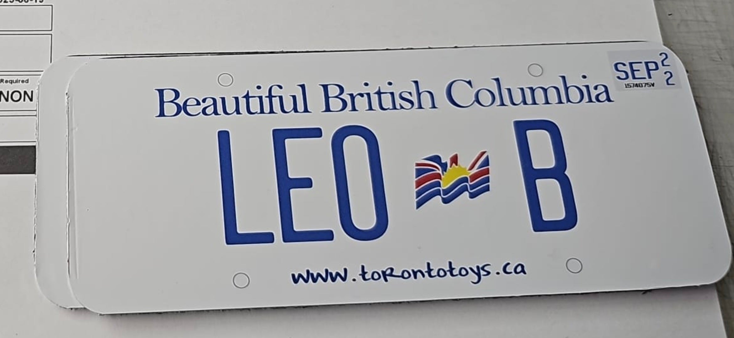 Personalized Custom License Plate for Kids Car