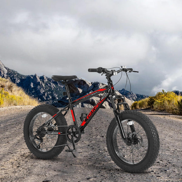 20" Kids' Fat Tire Mountain Bike with 7-Speed Drivetrain, and Dual Disc Brakes, for Ages 8-12, 63" L x 24.5" W x 35" H, Black+