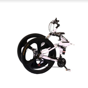 Bicycle (Foldable)
