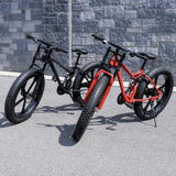 FATTY TIRE BICYCLE (BIKE WITH OVERSIZED TIRES)